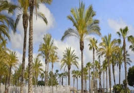 4BR TWINVILLA SIZE 4145+POOL | PRIME LOCATION