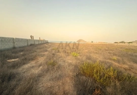 Scenic Agriculture Land for Sale in Al Bidyah,