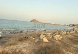 Scenic Agriculture Land for Sale in Al Bidyah,