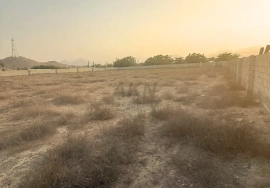 Scenic Agriculture Land for Sale in Al Bidyah,