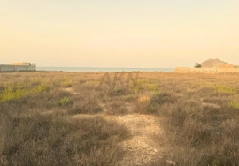 Scenic Agriculture Land for Sale in Al Bidyah,