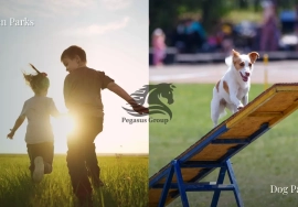 Corner Plot | Prime Location | 54 AED per sq ft