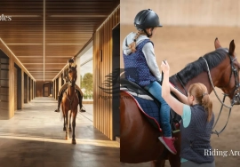 Corner Plot | Prime Location | 54 AED per sq ft