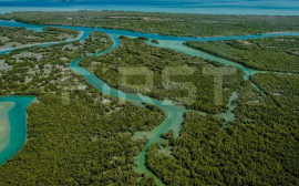 Very Hot Deal | Great Location | Best Invest