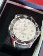 Pagani Design Seamaster Homage