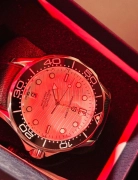 Pagani Design Seamaster Homage