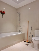 PARTITIONS AVAILABLE FOR PROFESSIONALS IN DIP-1