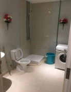 PARTITIONS AVAILABLE FOR PROFESSIONALS IN DIP-1