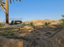 Farm for Sale in Fujairah 