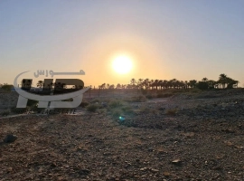 Farm for Sale in Fujairah 