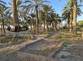 Farm for Sale in Fujairah 