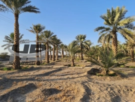 Owns land at an attractive and exclusive price 