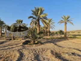 Owns land at an attractive and exclusive price 