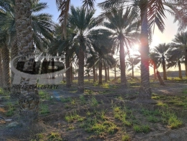 Owns land at an attractive and exclusive price 