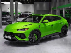 PERFORMANTE -BRAND NEW- FULL CARBON EXTERIOR